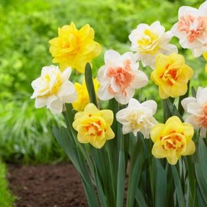 Meet your Posher, Christa